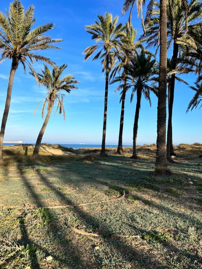 Gound Floor Bungalow Jumilla III Playa Flamenca Dehesa de Campoamor  Eksteriør bilde